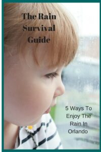 Rain Survival Guide