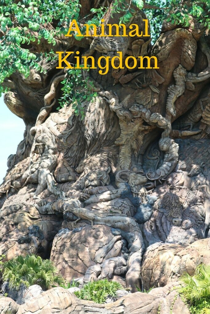 Animal Kingdom Tree of Life