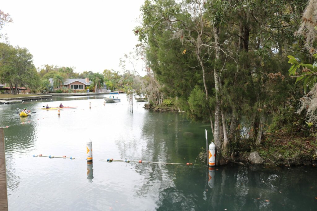 Kayakers and boaters near the entrance of Three Sisters Springs, Crystal River.