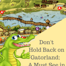 Don’t Hold Back on Gatorland; A Must See in Orlando