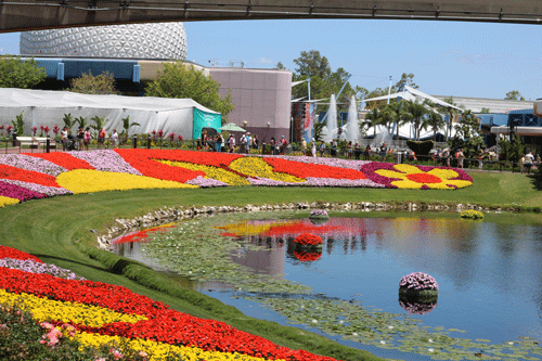 The International Flower & Garden Festival