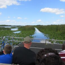 Wild Florida Airboat Rides,  Gator Park & Safari Park